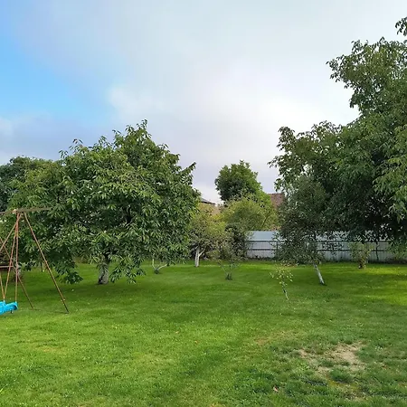 With Garden In Apartment Stepnica